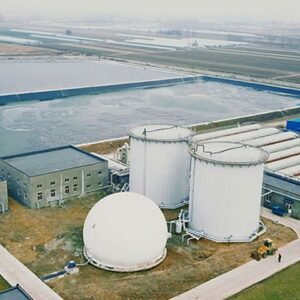 Three system fecal treatment technology