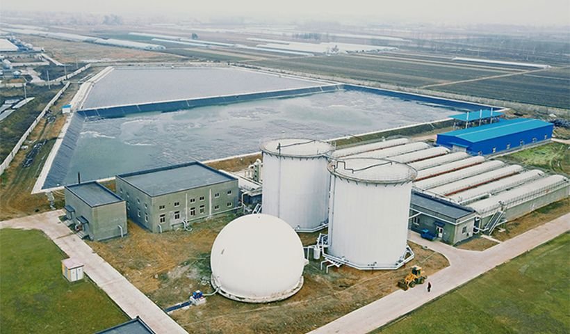 Three system fecal treatment technology
